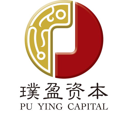 上海璞盈投资管理 企业管理之道与投资策略融合