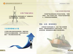 福建省梧桐树投资管理图册 洞悉资产管理的专业蓝图