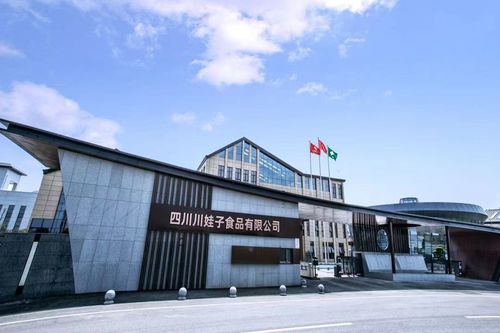 聚焦明星工厂 百位行业代表齐聚川娃子，共话食品智造新未来