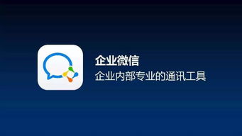 孙懿与99公益日 信息化助力突破企业管理行业两大瓶颈