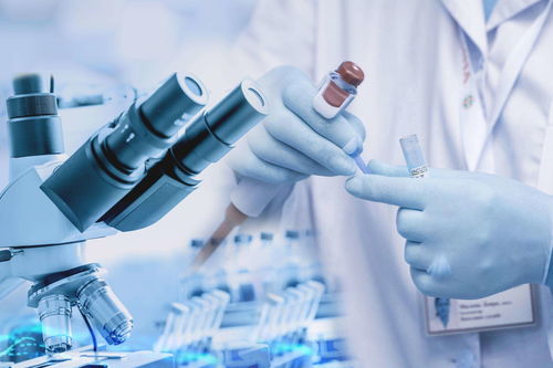 进贤高质量发展迈出坚实步伐 38个亿元以上项目助推企业管理升级